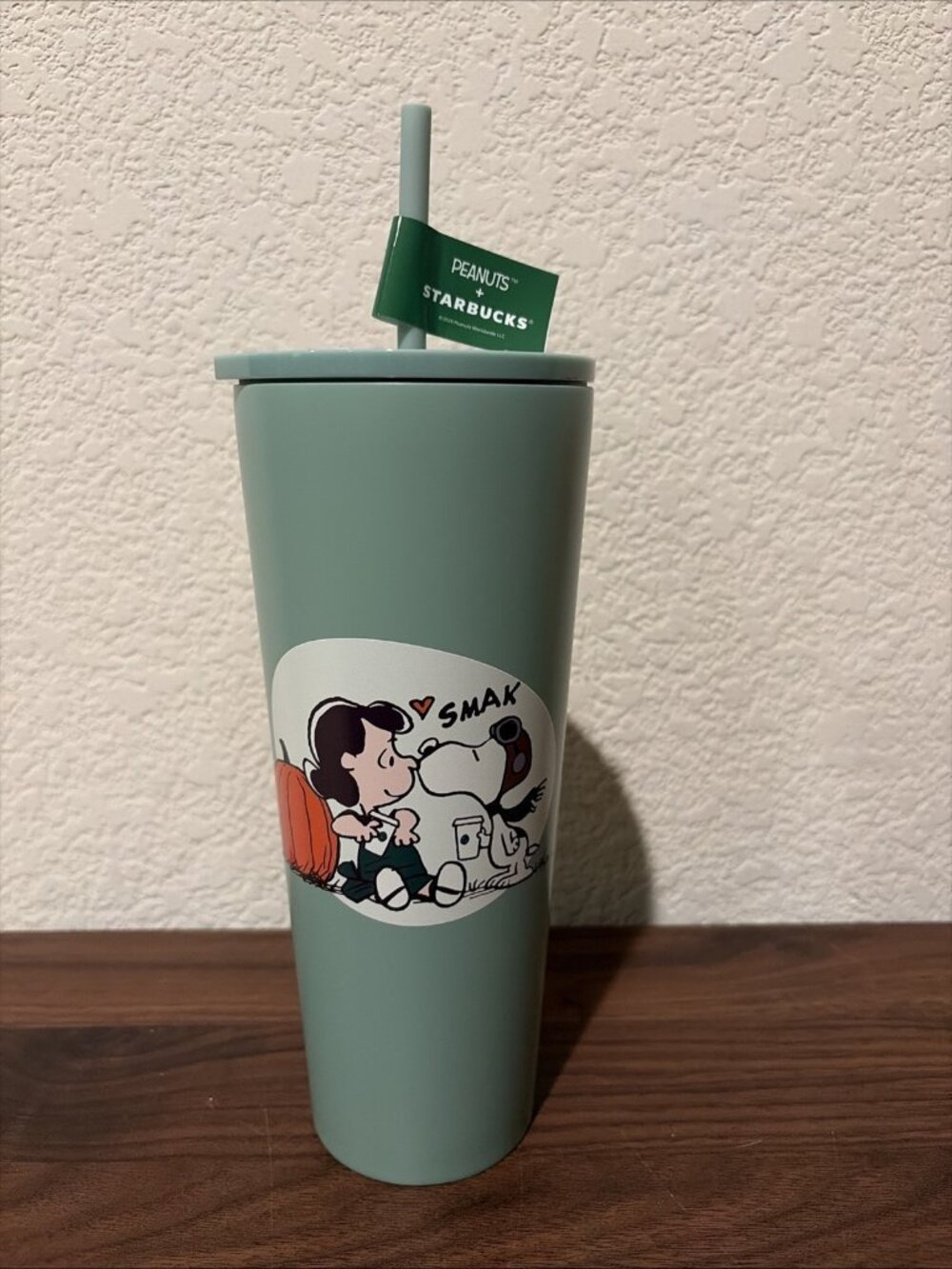 Starbucks x Peanuts Snoopy Stainless Steel Cold Cup NEW 2026 -US Seller
